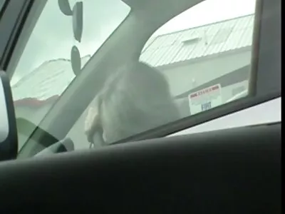 Підліток ковзає на порно відео фалоімітатор